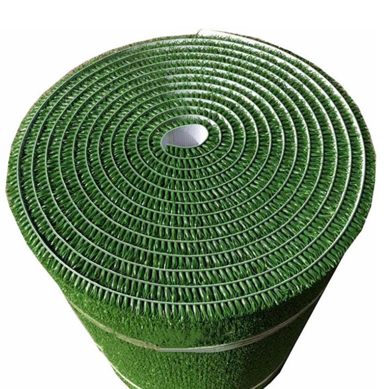 粘金草